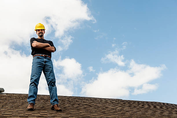 Best Roof Gutter Cleaning  in Patrick Springs, VA